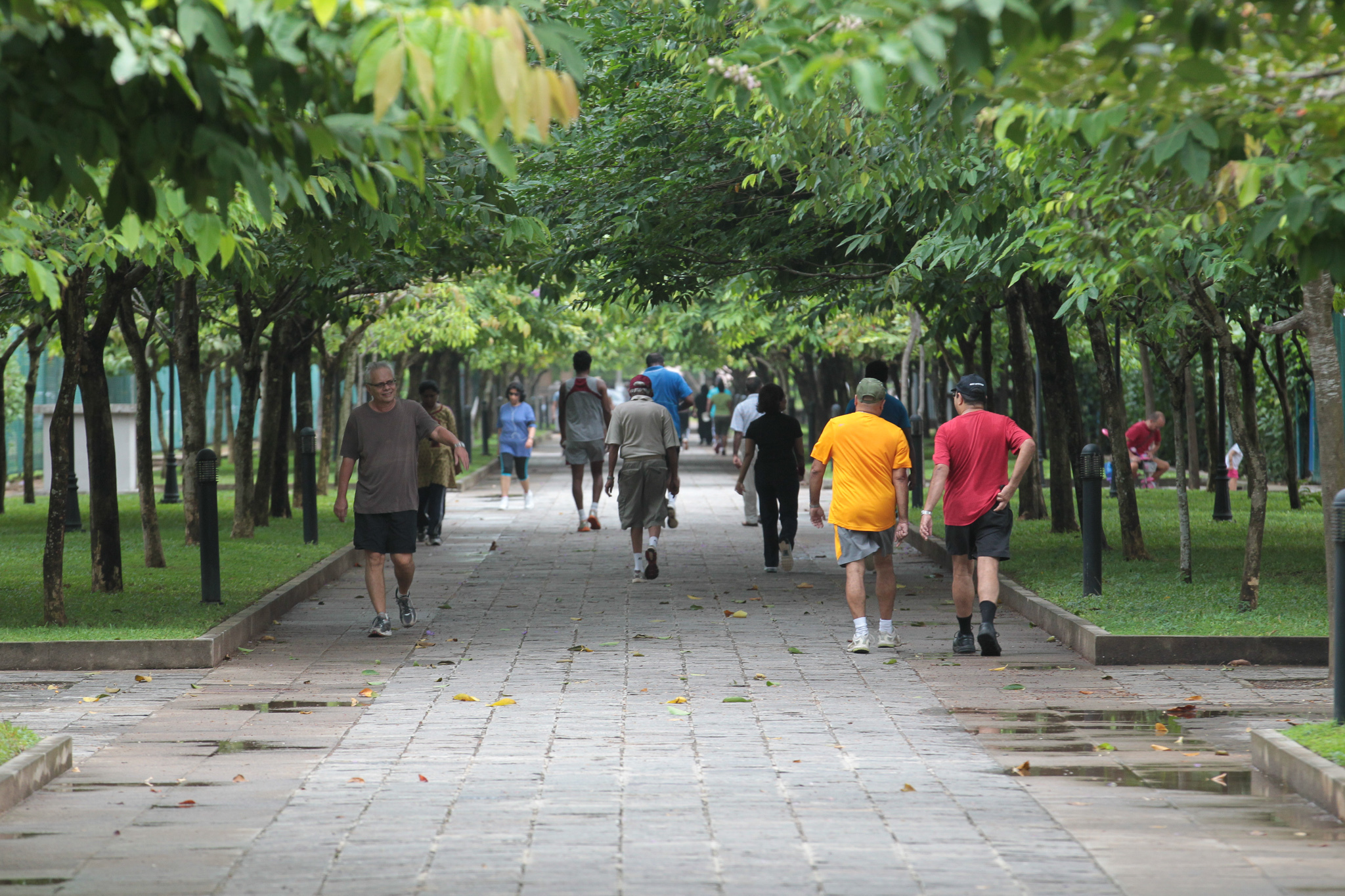 <p>Over 50% of Sri Lankan adults are either inactive or have low levels of physical activity - that is more than 9.5 million adults (Ministry of Health, 2018)</p>