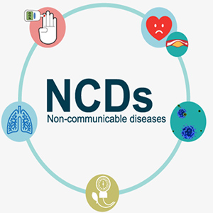 Foundation Course on NCD Prevention and Control